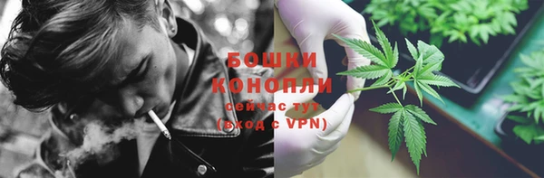 гашик Коряжма