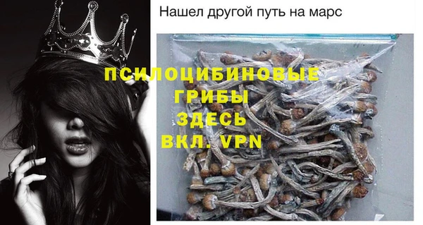 дживик Алексин