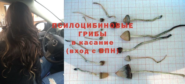 МДПВ Алзамай